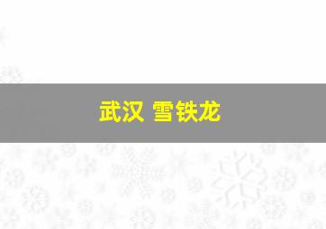 武汉 雪铁龙